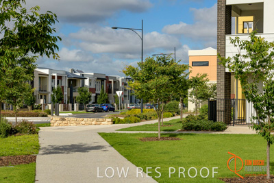 December 2017 / LIGHTSVIEW_100_171209