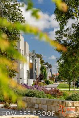 December 2017 / LIGHTSVIEW_115_171209