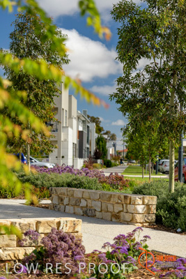 December 2017 / LIGHTSVIEW_118_171209