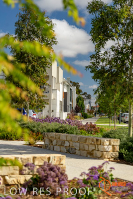 December 2017 / LIGHTSVIEW_124_171209