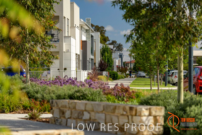 December 2017 / LIGHTSVIEW_127_171209