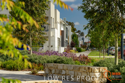 December 2017 / LIGHTSVIEW_130_171209