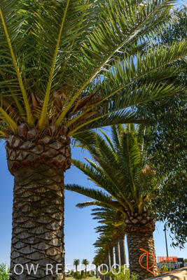 December 2017 / EYRE_PENFIELD_061_171210