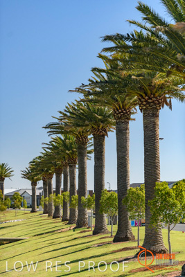 December 2017 / EYRE_PENFIELD_073_171210