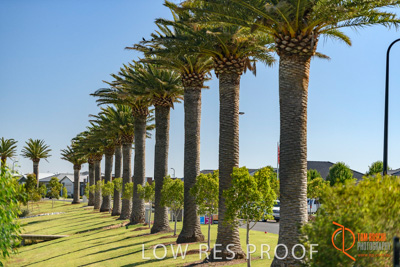 December 2017 / EYRE_PENFIELD_076_171210