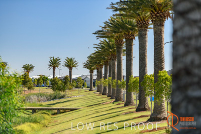 December 2017 / EYRE_PENFIELD_082_171210