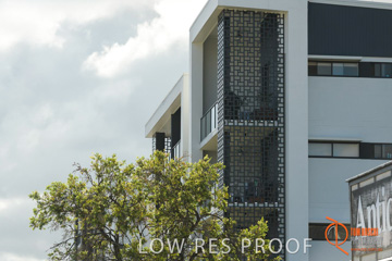 January 2018 / FYFE_BRISBANE_037_180124__TRP6112