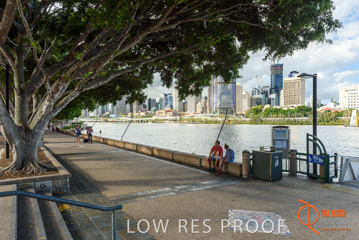 January 2018 / FYFE_BRISBANE_179_180124__TRP0668