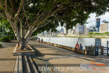January 2018 / FYFE_BRISBANE_181_180124__TRP0670