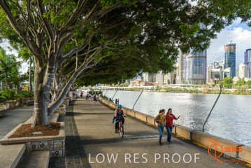 January 2018 / FYFE_BRISBANE_194_180124__TRP0683