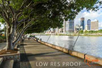 January 2018 / FYFE_BRISBANE_197_180124__TRP0686