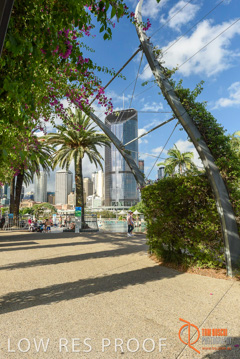 January 2018 / FYFE_BRISBANE_291_180124__TRP0780