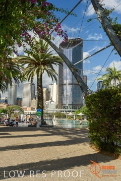 January 2018 / FYFE_BRISBANE_292_180124__TRP0781