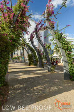 January 2018 / FYFE_BRISBANE_304_180124__TRP0793