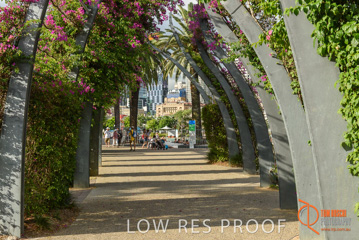 January 2018 / FYFE_BRISBANE_310_180124__TRP0799