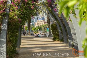 January 2018 / FYFE_BRISBANE_313_180124__TRP6317