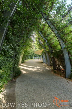 January 2018 / FYFE_BRISBANE_319_180124__TRP0807