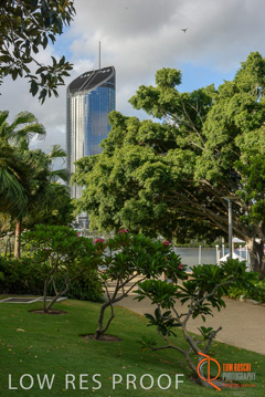 January 2018 / FYFE_BRISBANE_414_180124__TRP0898