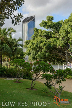 January 2018 / FYFE_BRISBANE_417_180124__TRP0901