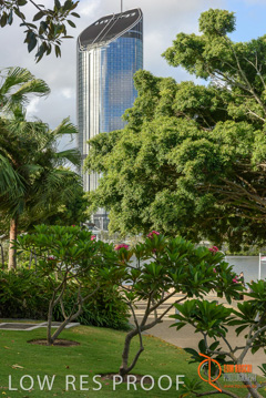 January 2018 / FYFE_BRISBANE_420_180124__TRP0904