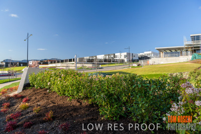 August 2019 / HH_190829_0039