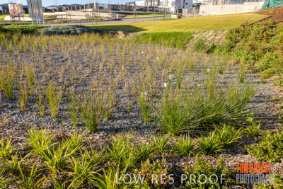 August 2019 / HH_190829_0057