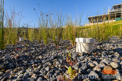 August 2019 / HH_190829_0068