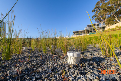 August 2019 / HH_190829_0070