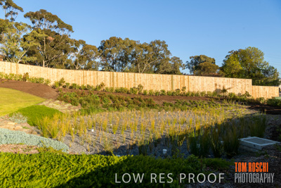 August 2019 / HH_190829_0082