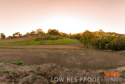 August 2019 / HH_190830_0418