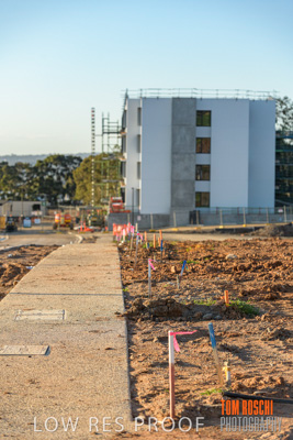 September 2019 / HH_190903_0886