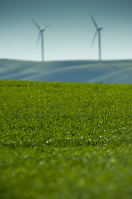 July 2009 / ABB_GRAIN_122_090709