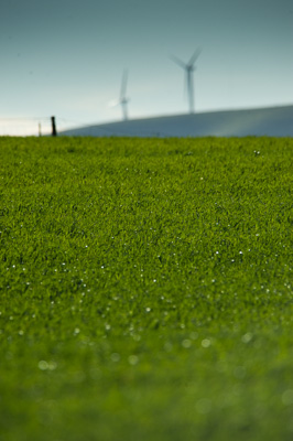 July 2009 / ABB_GRAIN_123_090709