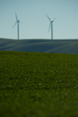 July 2009 / ABB_GRAIN_124_090709