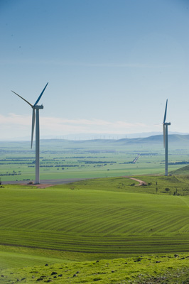 July 2009 / ABB_GRAIN_284_090709