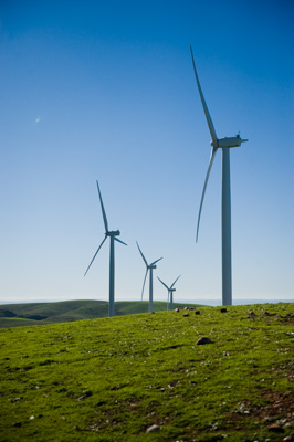 July 2009 / ABB_GRAIN_301_090709