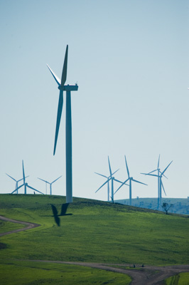 July 2009 / ABB_GRAIN_310_090709