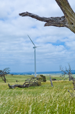 November 2007 / ETSA_058_071122