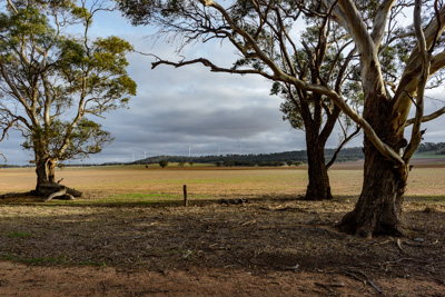 May 2016 / SA_RURAL_124__160519__DSC6854