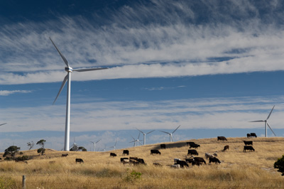 December 2007 / X_MAS_07_TRP8137_071229