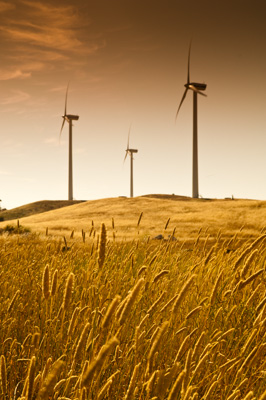 December 2007 / X_MAS_07_TRP8140_071229