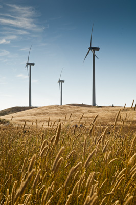 December 2007 / X_MAS_07_TRP8141_071229