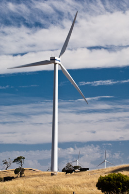 December 2007 / X_MAS_07_TRP8142_071229