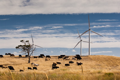 December 2007 / X_MAS_07_TRP8144_071229