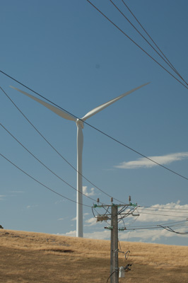 December 2007 / X_MAS_07_TRP8146_071229