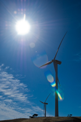 December 2007 / X_MAS_07_TRP8152_071229