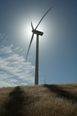 December 2007 / X_MAS_07_TRP8155_071229