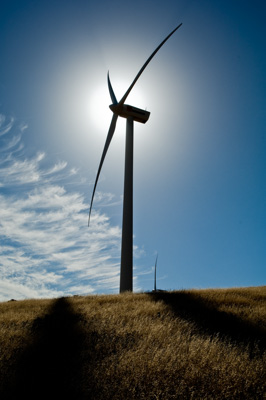 December 2007 / X_MAS_07_TRP8155 copy_071229