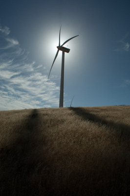 December 2007 / X_MAS_07_TRP8156_071229