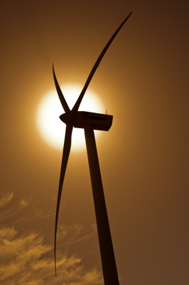 December 2007 / X_MAS_07_TRP8157_071229